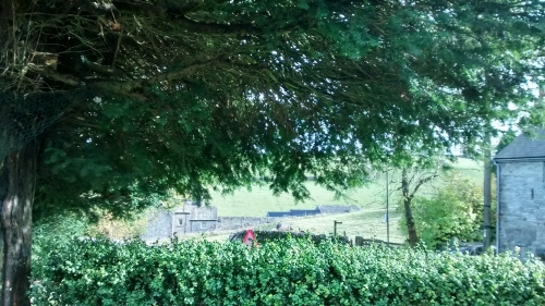 View from the garden