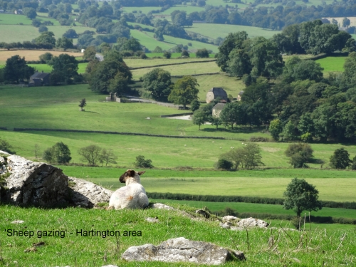 Hartington landscape